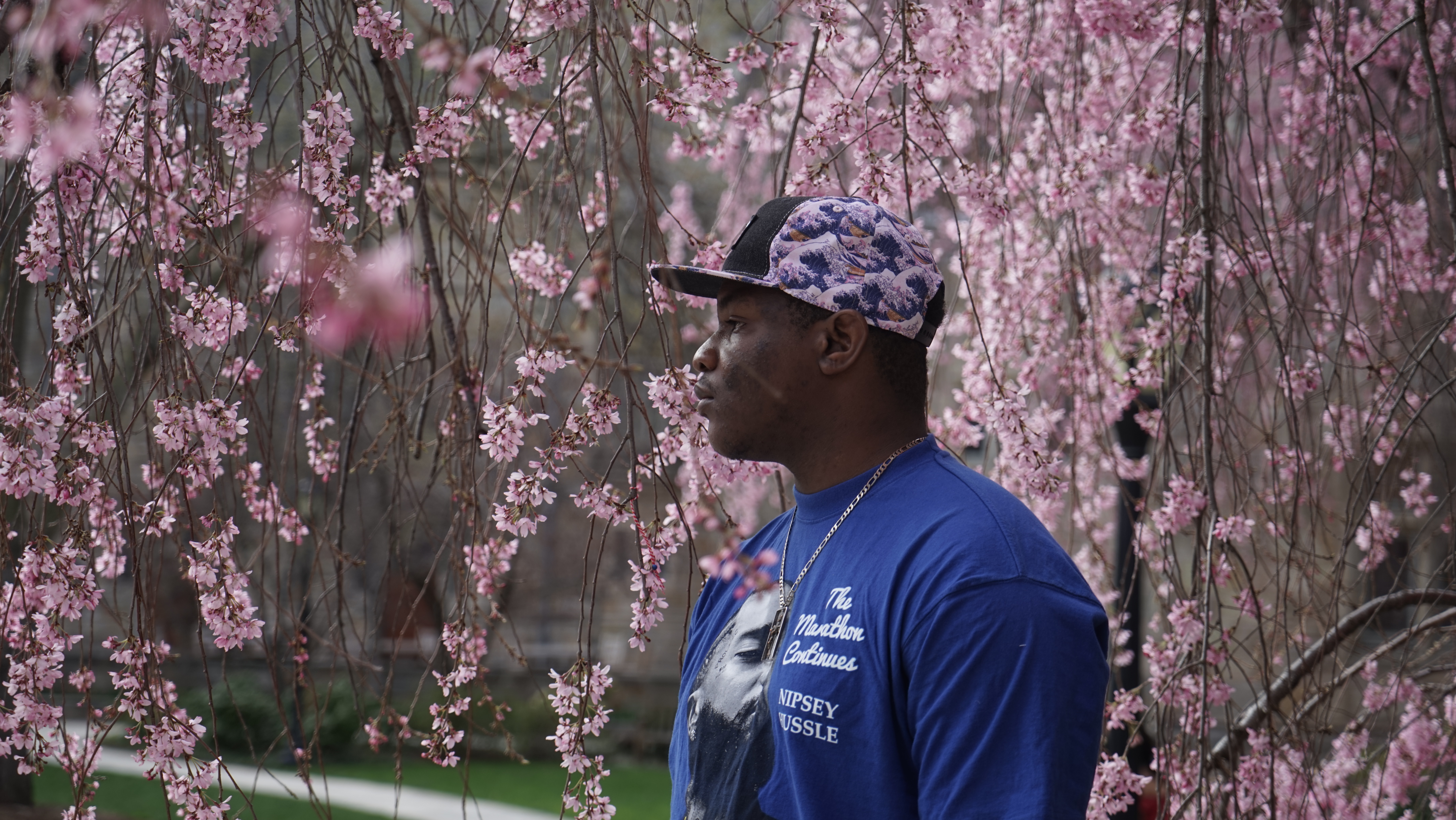 A portrait of Noah among pink cherry blossoms trees