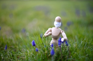 Wooden mannequin wearing face mask frolicking in a field of wildflowers