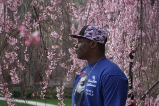 A portrait of Noah among pink cherry blossoms trees