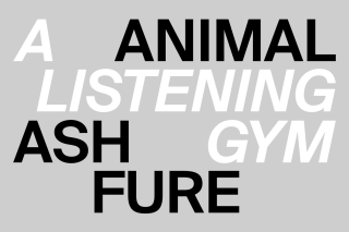 Ash Fure, ANIMAL: A Listening Gym