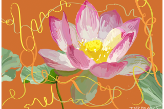Drawing of a lily. Pink and yellow flower with green leaves, on an orange background.