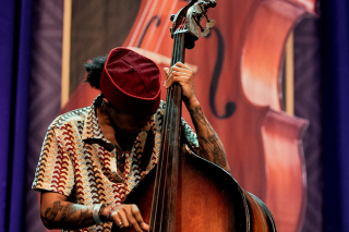 Artist with stringed instrument.