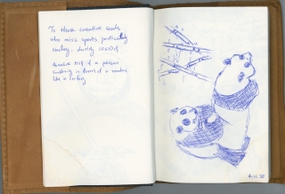 Photo of pages from handwritten sketch journal