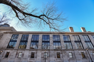 A wall of windows on the Annex's exterior