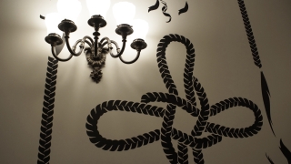 Classic room adorned with graphic braid on wall. 