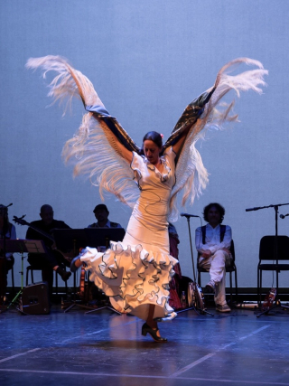 Dancing in elaborate costume with fringes. 